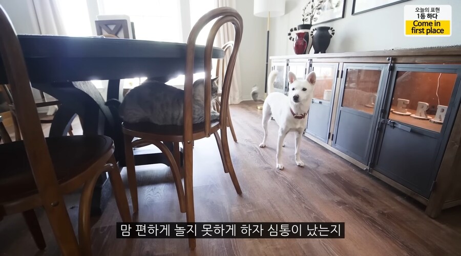 올리버쌤) 올리버쌤네 동물들 보면 신기한 거_1.jpg