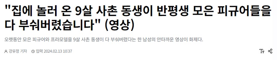 명절에 놀러 온 사촌 동생, 피규어 박살내...진실의 진실_2.png