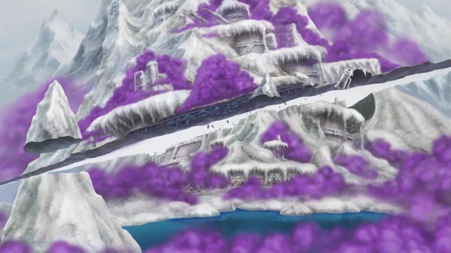 수술수술열매가 밸붕인 5가지 이유.jpg_14.webp