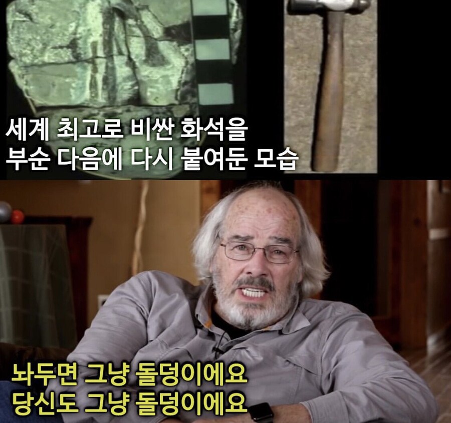 귀중한 공룡알 화석 망치로 깨버린 사람.jpg_6.jpg