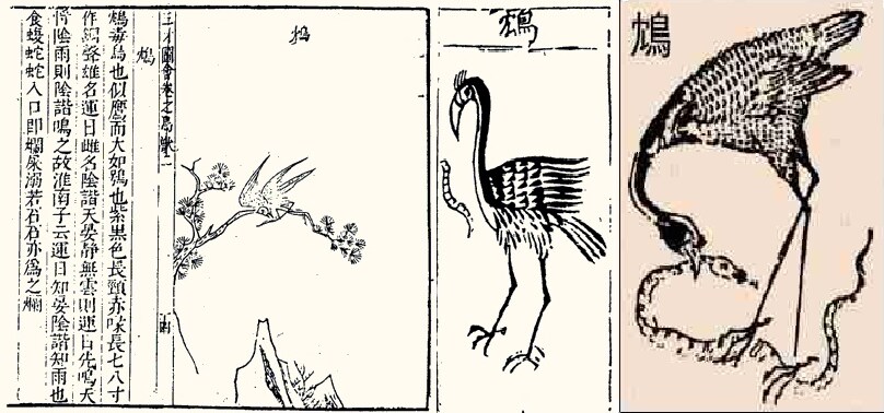 고대 중국의 전설의 생물 '짐새'_1.png