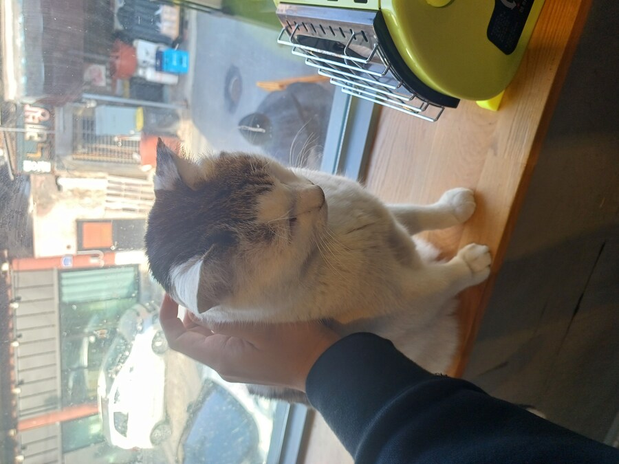 블루아카) 방금 동학사점 인증한 유게이다_4.jpg