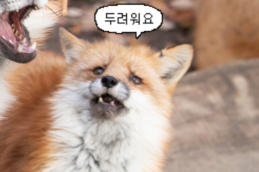 직장에서 자기가 부족하다고 느낄 땐 어떻게 함?_1.jpg