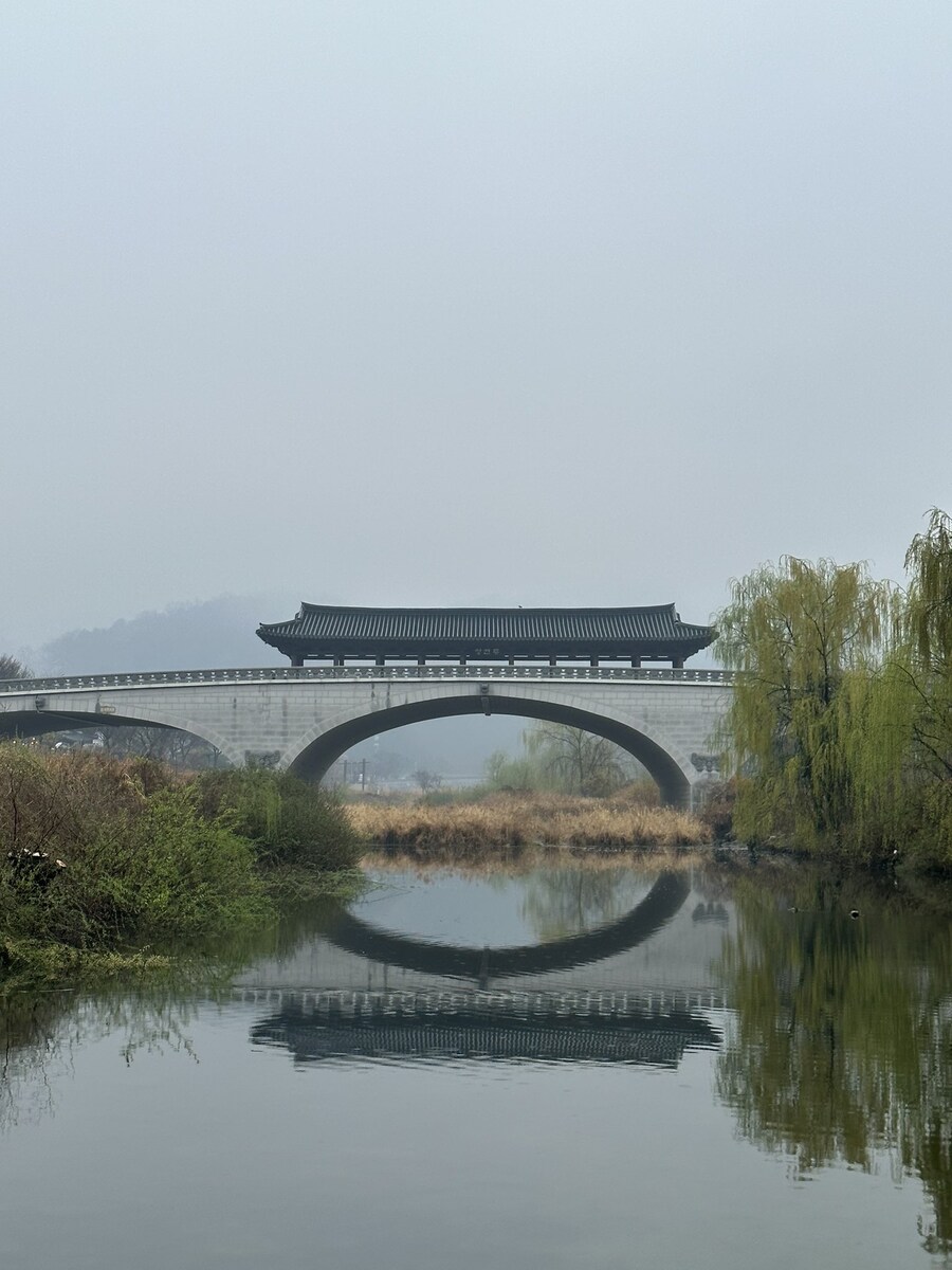 전주천 남천교 근황_2.jpg