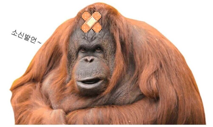 윈피스)칠무해 등급 정리_1.jpg