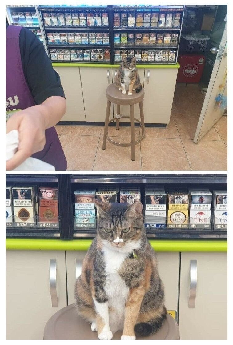 알바 감시하는 악덕 점장_1.jpg