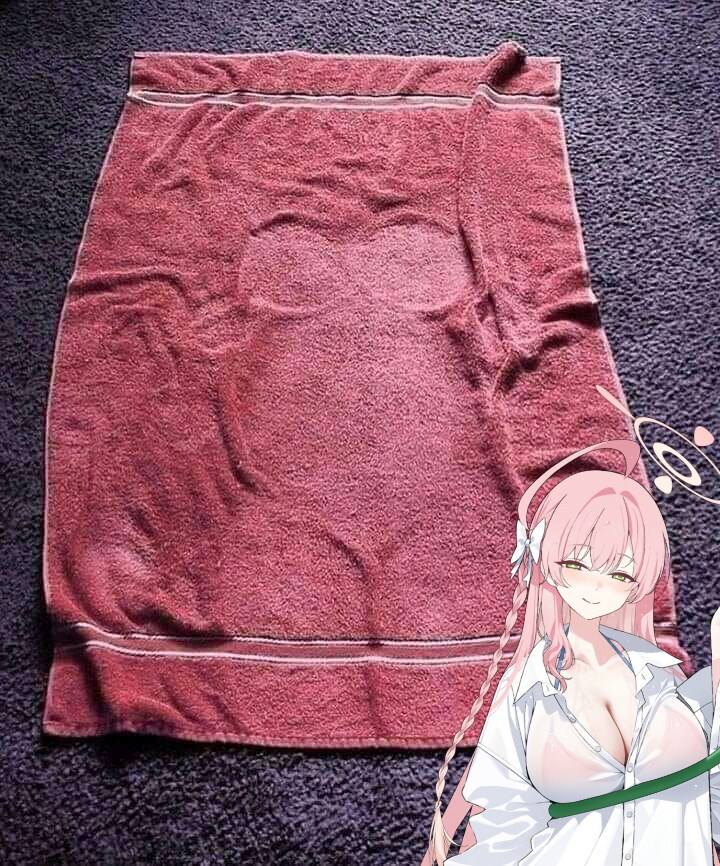 블루아카)하나코가 사용한 수건_1.jpg