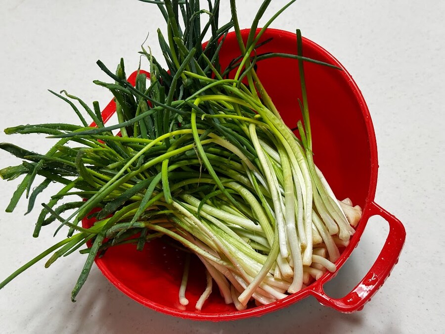 짜파게티는 파김치로 완성_3.jpg