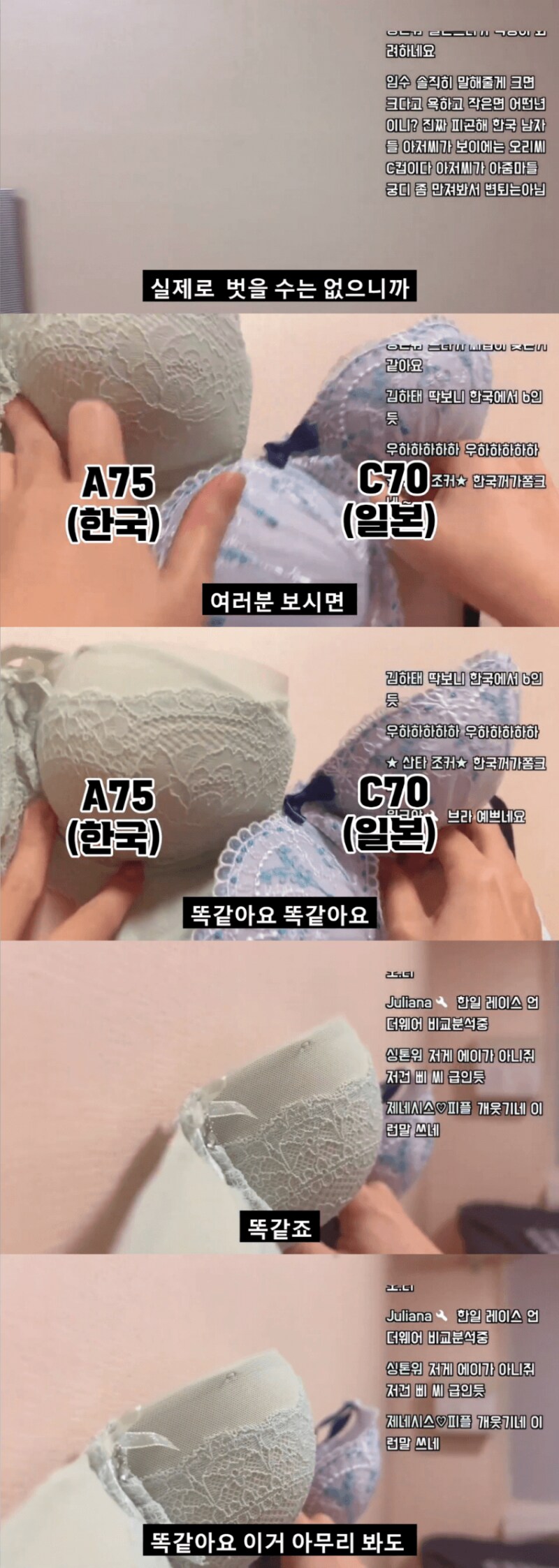 일본여자가 말하는 한일 가슴사이즈의 진실