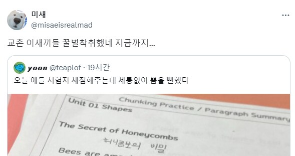 허니콤보의 비밀.jpg_2.png