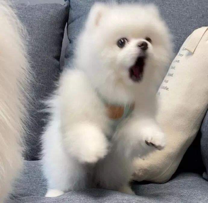 매우 긴박함_2.jpg