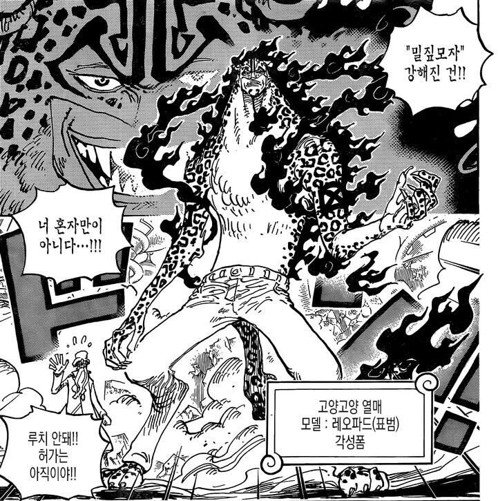 원피스 조로 vs. 루치 할때 루치는 앞으로도 계속..._2.jpg