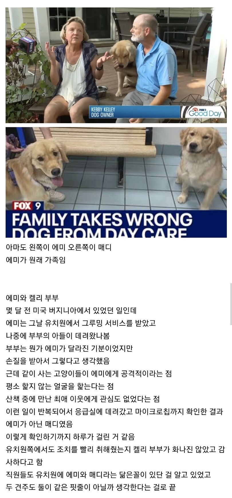 유치원에서 뒤바뀐 멍뭉이들.jpg_1.jpg