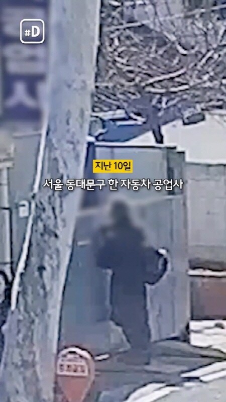 대낮에 자동차 공업소에서 공구 훔친 절도범 근황_1.jpg