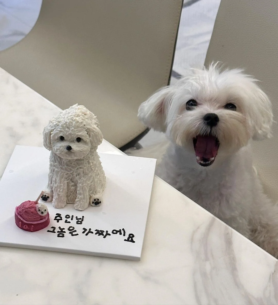 주인님 그 놈은 가짜예요.jpg_1.webp