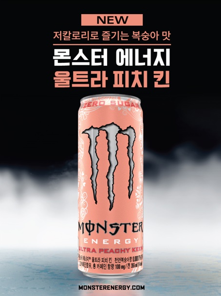 월드여행사주 이미지