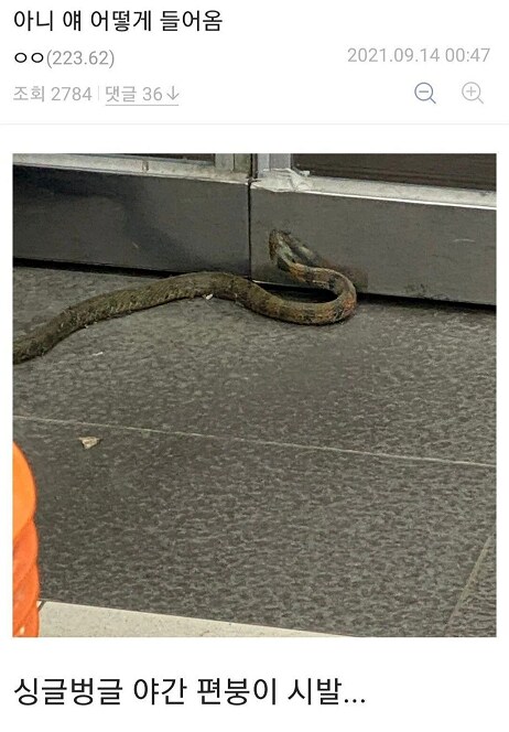 디시에서 가장 평화로운 갤러리_13.png