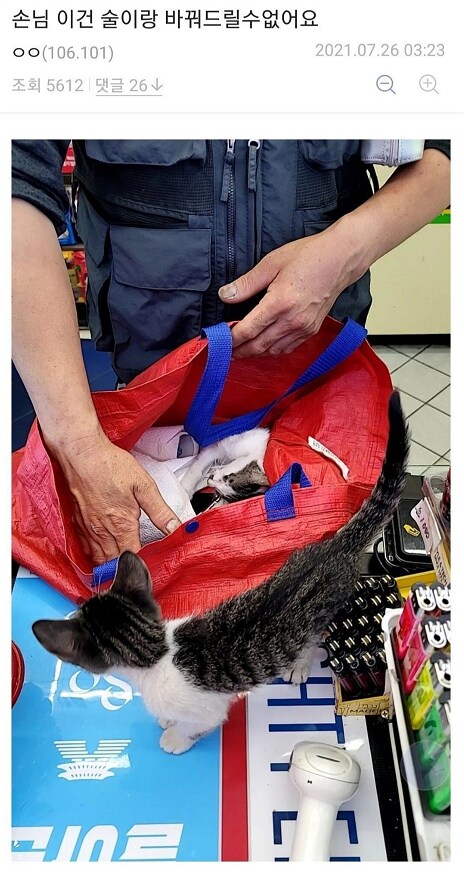 디시에서 가장 평화로운 갤러리_14.png