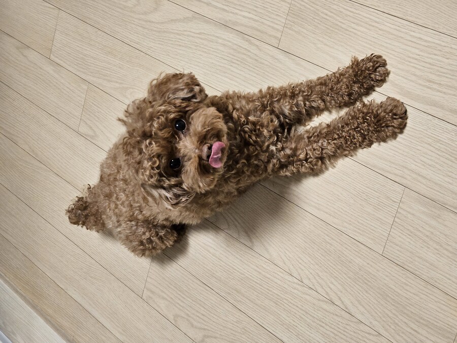 강제 금딸 2주_2.jpg