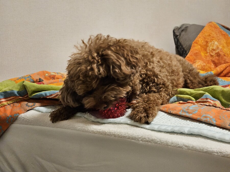 강제 금딸 2주_4.jpg