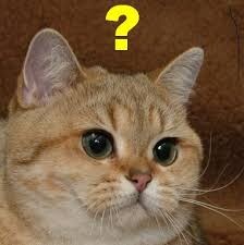 최근 알리익스프레스가 한국에 진심인 이유.jpg_2.jpg