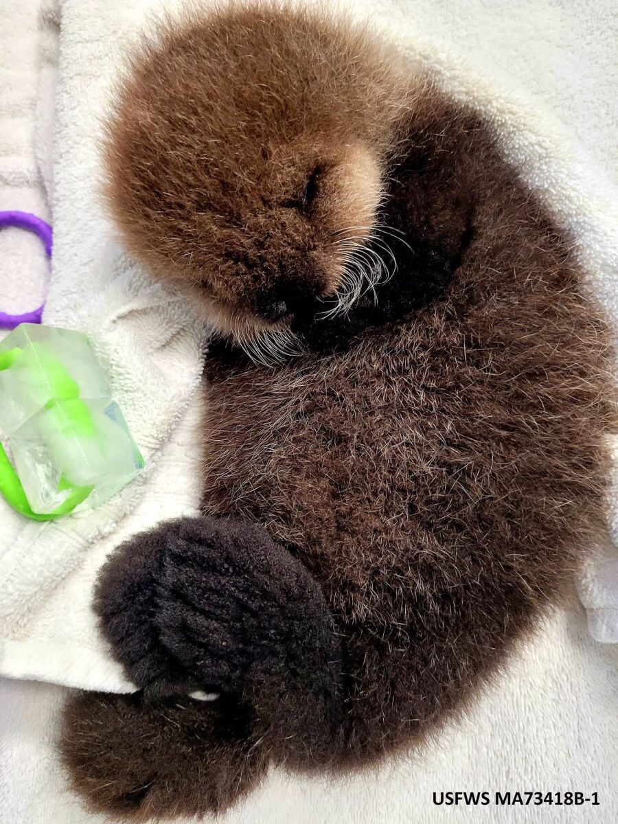 얘들아. 나 베스트 보내주면 안될까....?.jpg_2.jpg