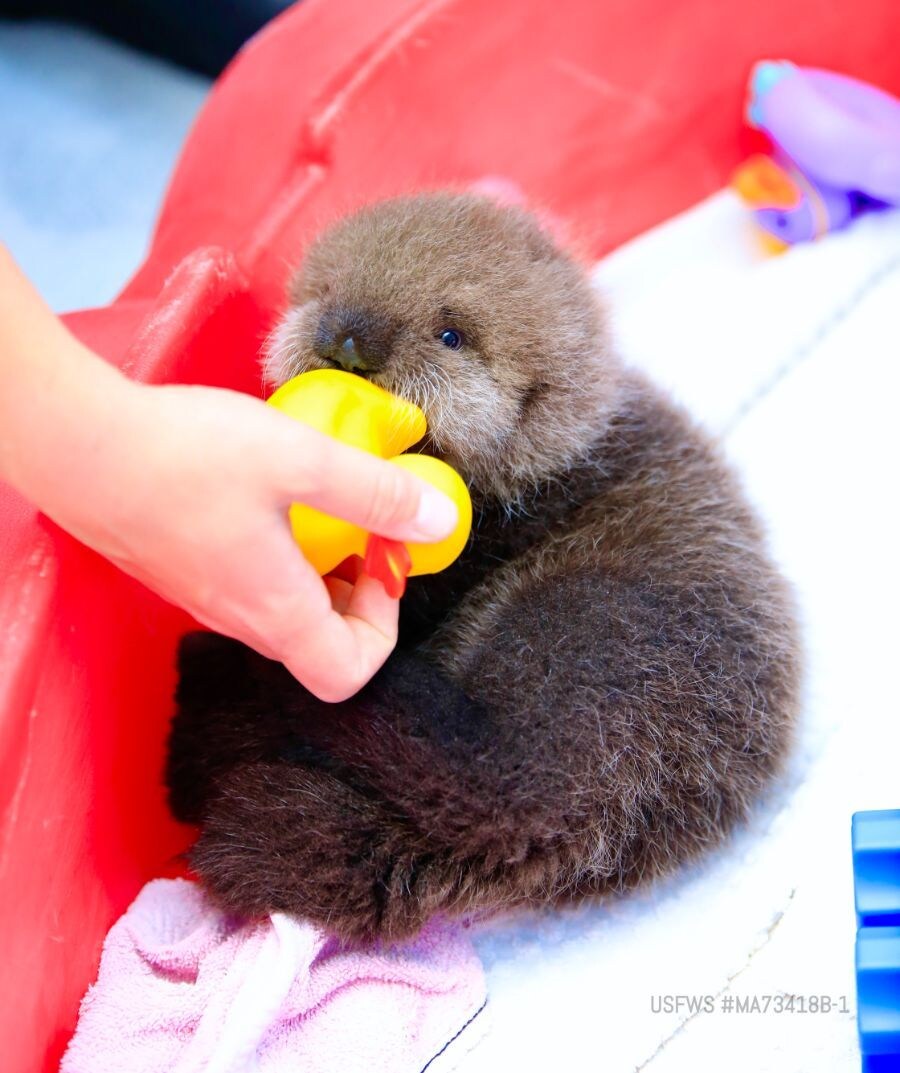 얘들아. 나 베스트 보내주면 안될까....?.jpg_4.jpg