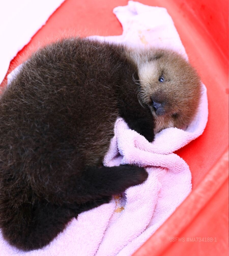 얘들아. 나 베스트 보내주면 안될까....?.jpg_5.jpg