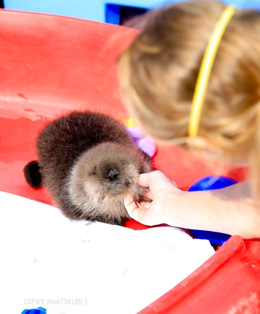 얘들아. 나 베스트 보내주면 안될까....?.jpg_6.jpg