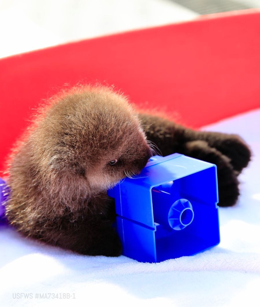 얘들아. 나 베스트 보내주면 안될까....?.jpg_7.jpg