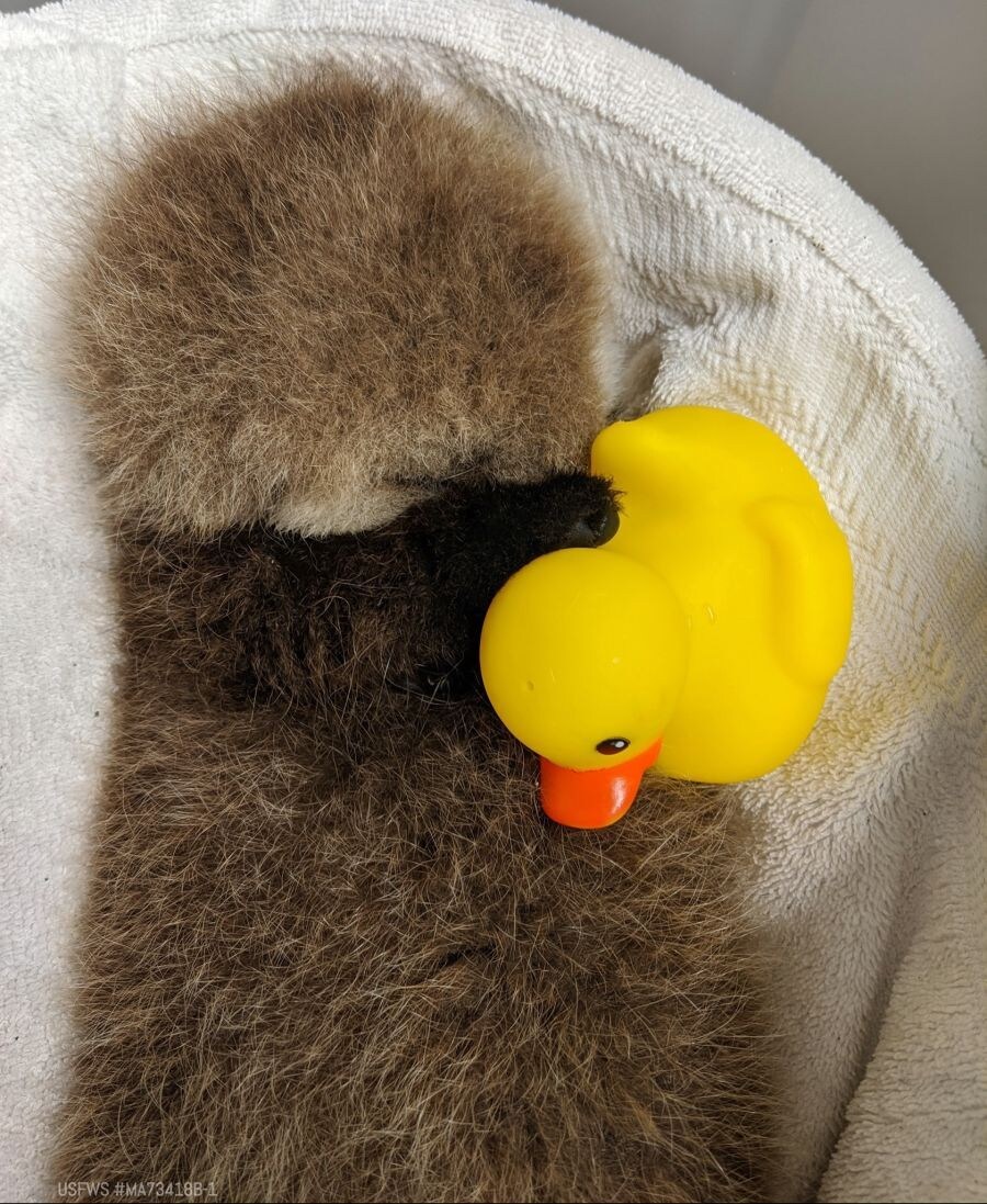 얘들아. 나 베스트 보내주면 안될까....?.jpg_8.jpg