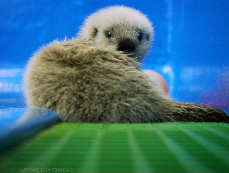 얘들아. 나 베스트 보내주면 안될까....?.jpg_9.jpg