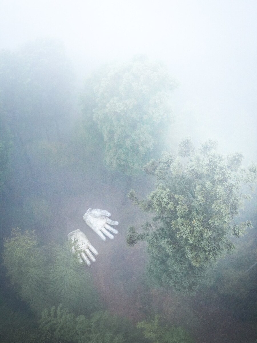 일본 사이타마, 숲 속에 버려진 손 한쌍🤲_2.jpg