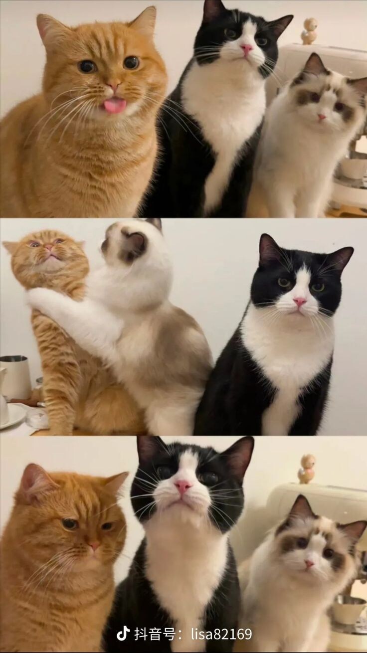 사진찍을때 찐따짓 하지 말랬지.jpg_1.jpg