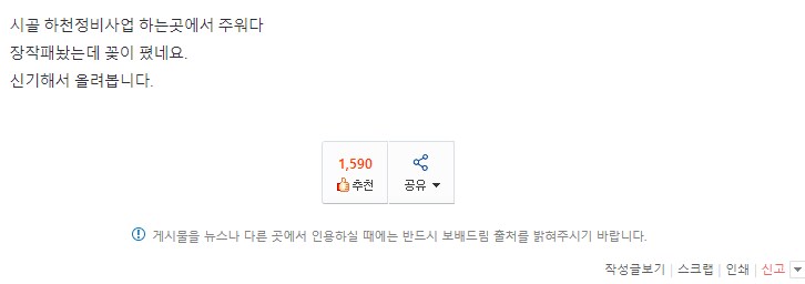 보배인이 가져온 땔감에서 핀 꽃.JPG_3.png