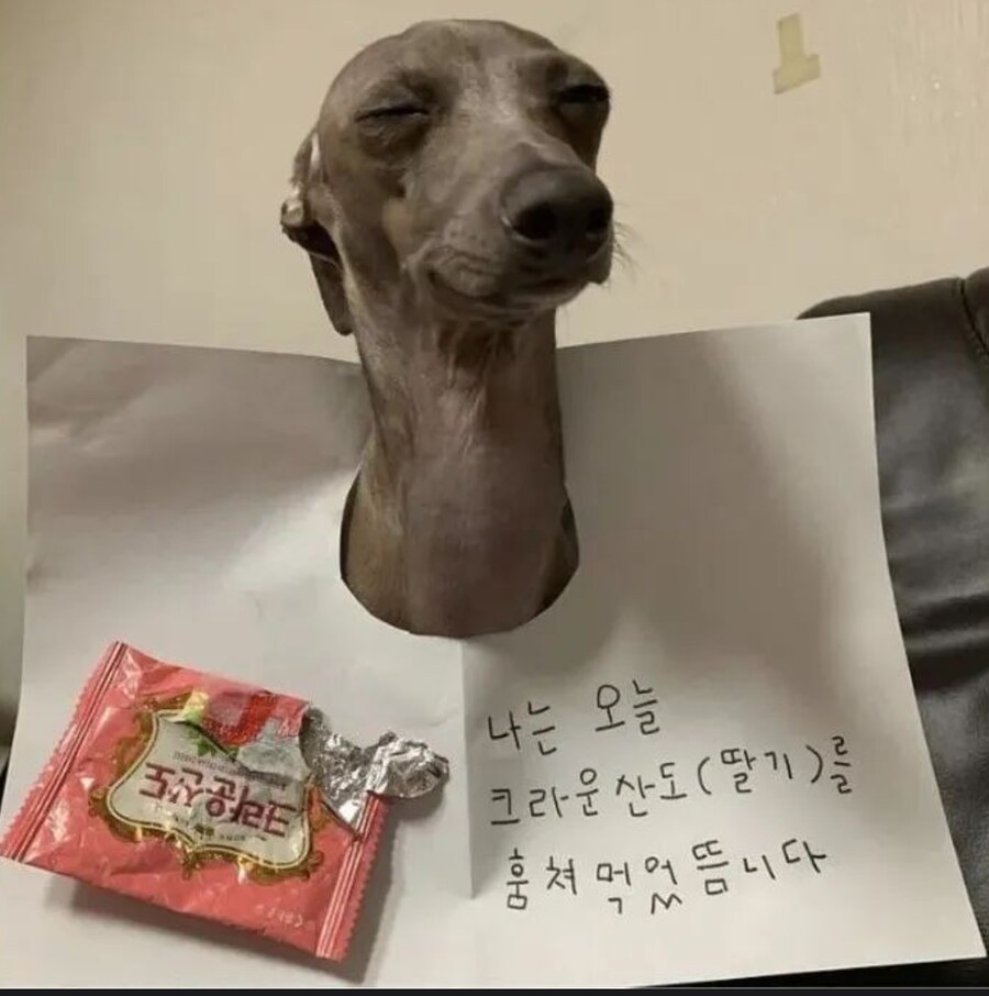 확신범의 모습.jpg_1.png