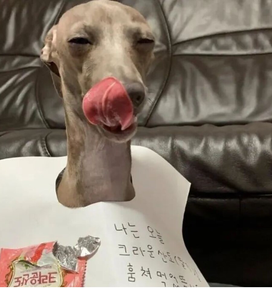 확신범의 모습.jpg_2.png