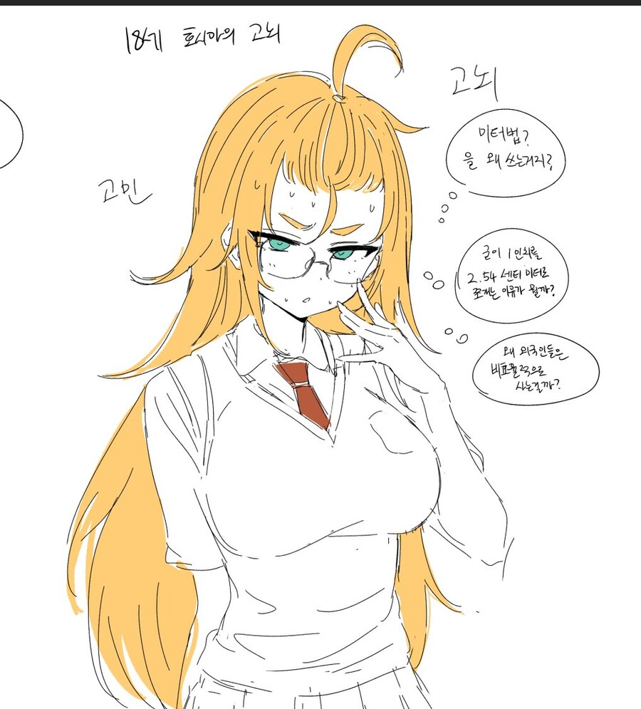 버미육)미터법? 왜 1인치를 2.54cm로 쪼개는걸까_2.jpg