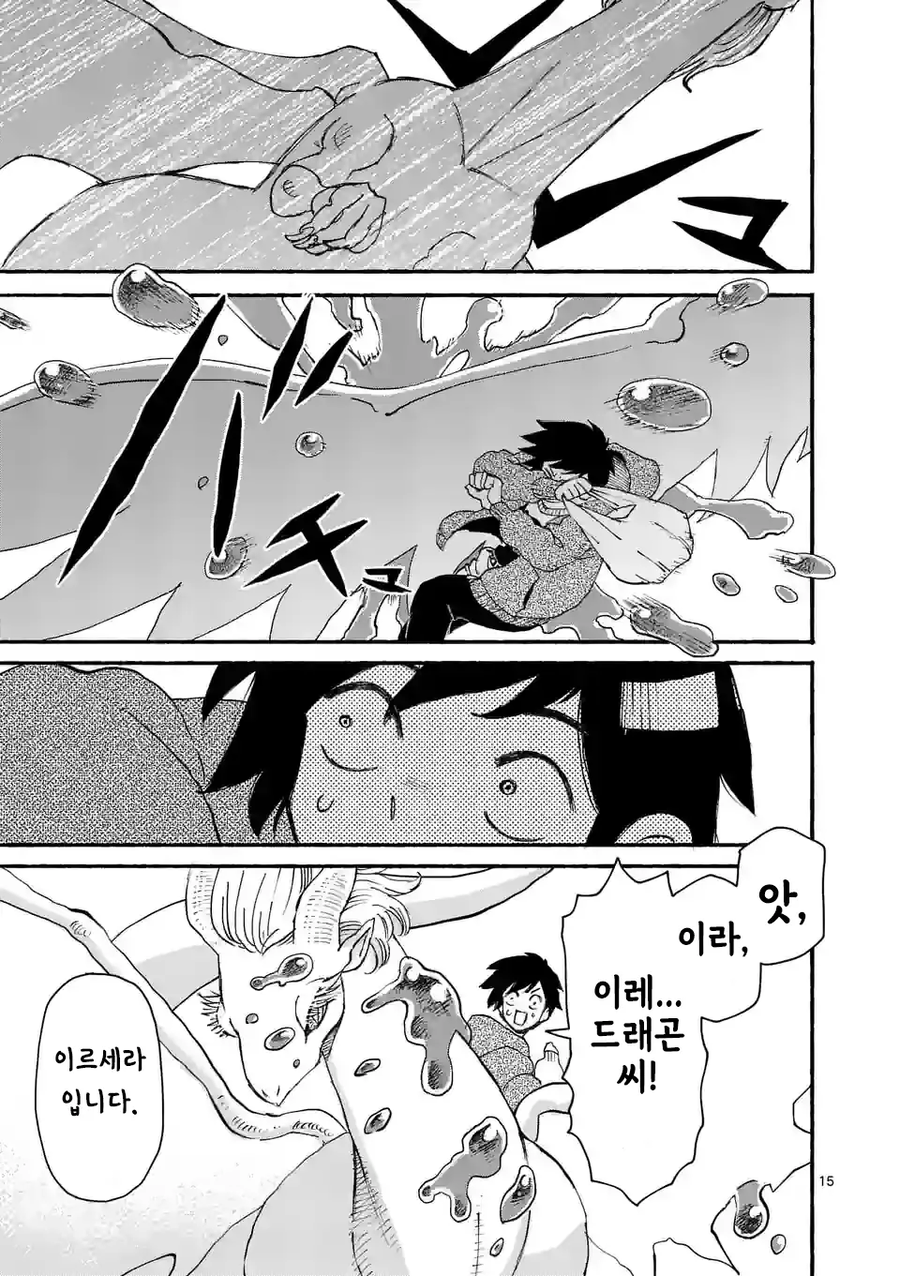 드래곤 줍는 만화_15.webp