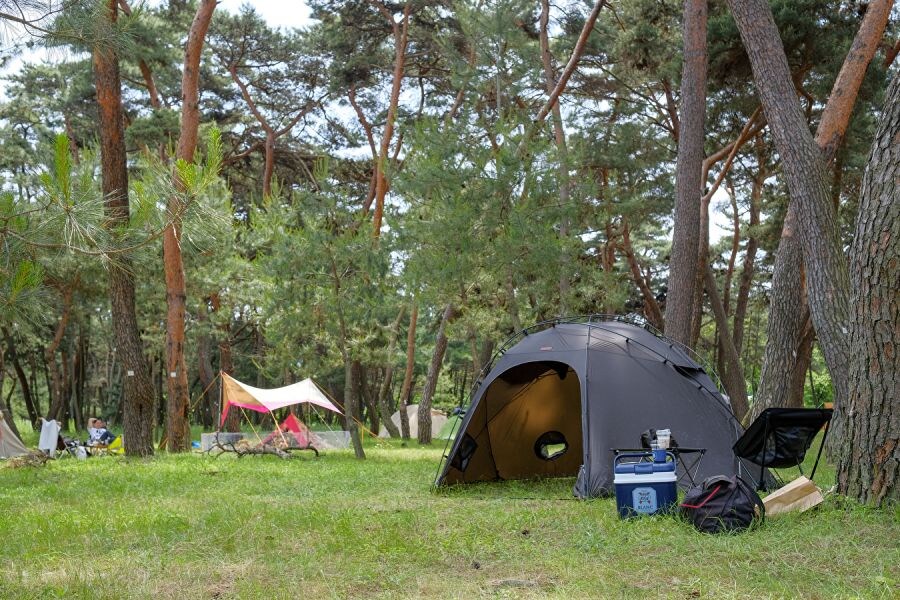 유루캠) 보고 캠핑 시작해봐!_4.jpg