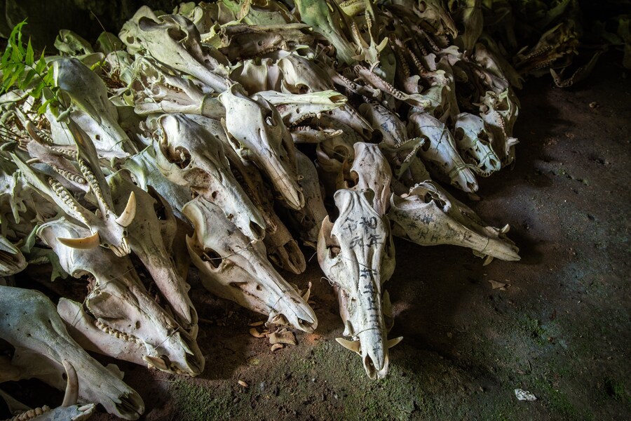 일본 시골의 버려진 한 신사의 모습. jpg_9.jpg