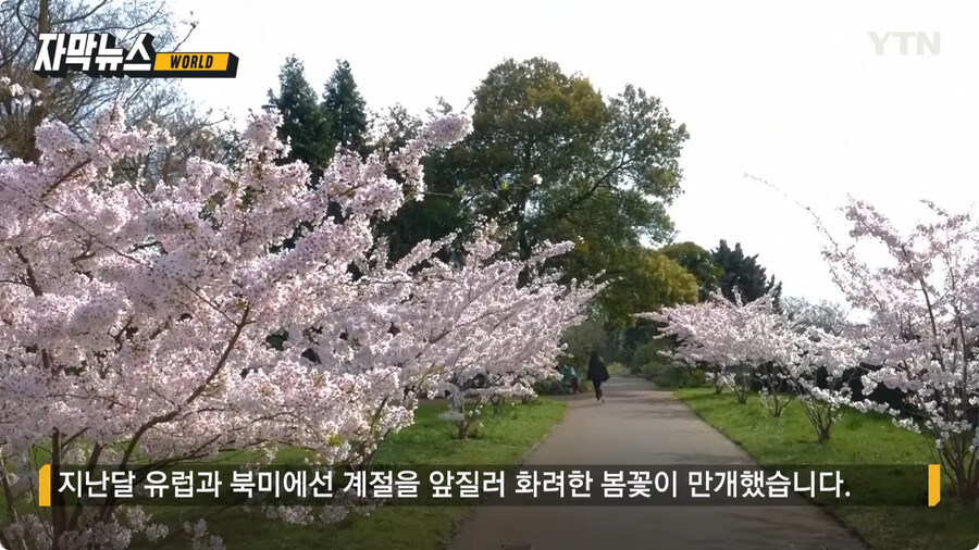 지구 근황.jpg_1.jpg