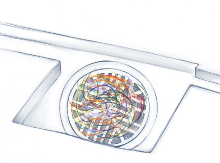 하렘물 화장실 배수구라도 돌아다니는 짤의 진실_1.jpg