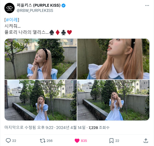 240414.트위터.이레 +.jpg