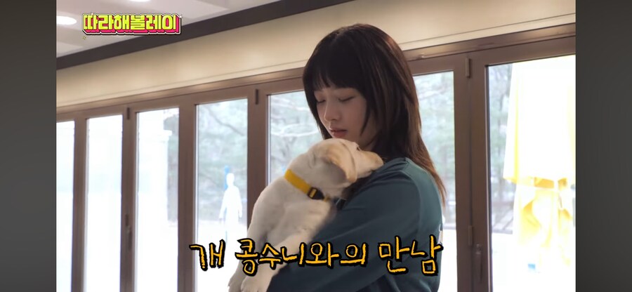 아이브 안내견 유치원에서 콩순이를 만난 콩순이_2.png