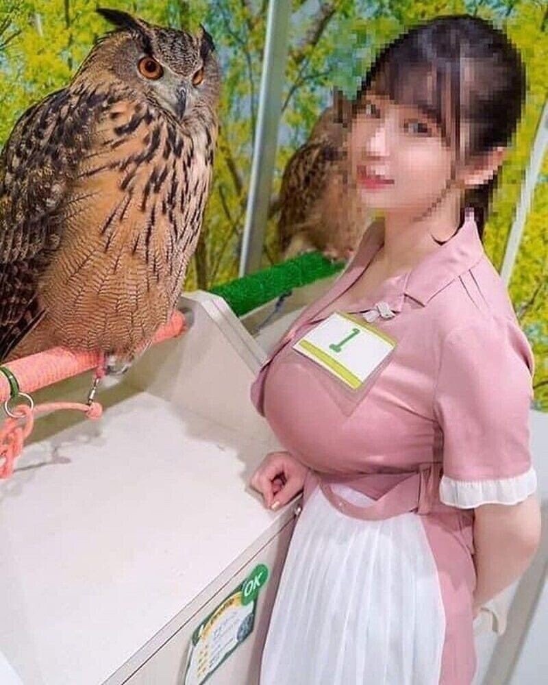 와 부엉이 실제 사이즈 장난 아니네_1.png