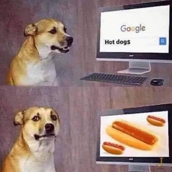 야한거 찾아보려다 실망한 댕댕이_1.jpg