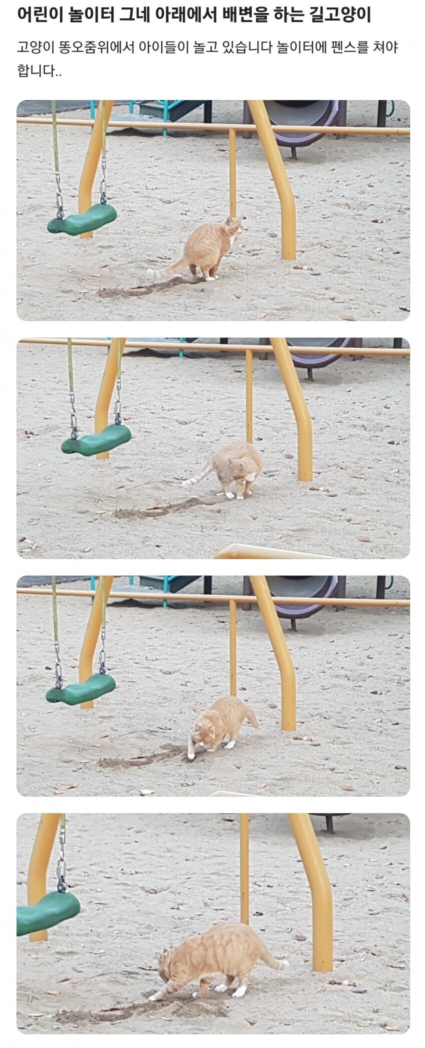 아이들 놀이터에 똥싸는 길고양이.jpg | 유머 게시판 | RULIWEB