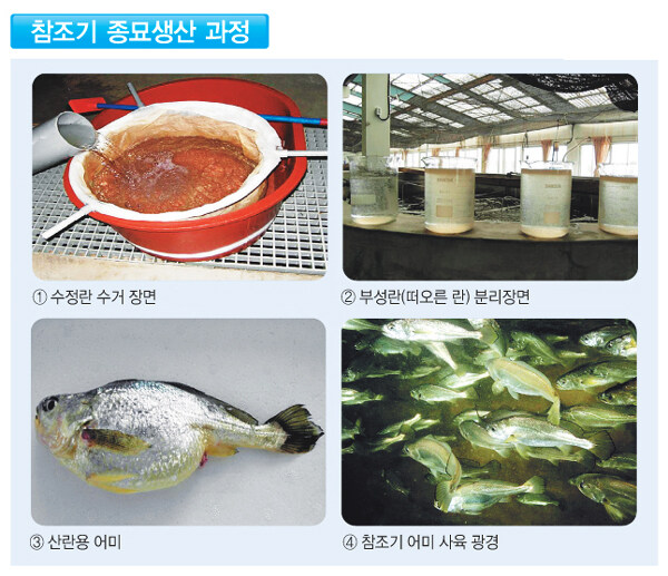 오늘은..............조기 성교육을 배울 시간이에요♥_1.jpg