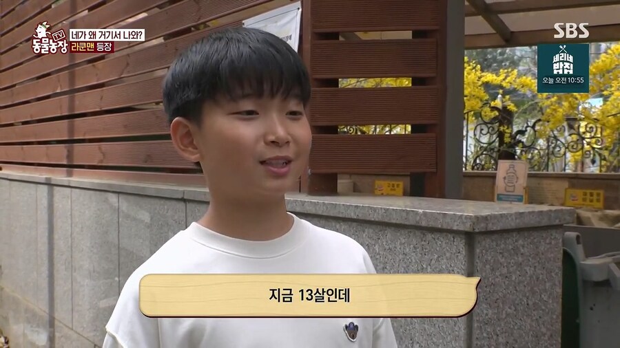 내가 이 아파트에서 12년을 살았는데 라쿤을 처음봤다니까?_6.jpg